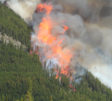 How Wildfires in Canada Can Impact Grid Reliability