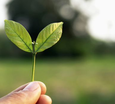 How Does Battery Backup Power Reduce Carbon Emissions?