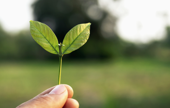 How Does Battery Backup Power Reduce Carbon Emissions?
